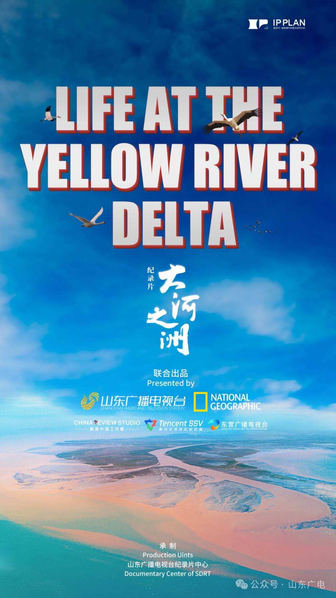 MK体育这些“东营元素”写入省政府工作报告(图18)