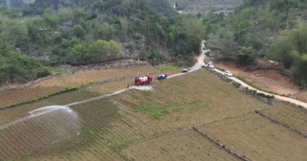 精准施策多地全MK体育力以赴缓旱情(图3)