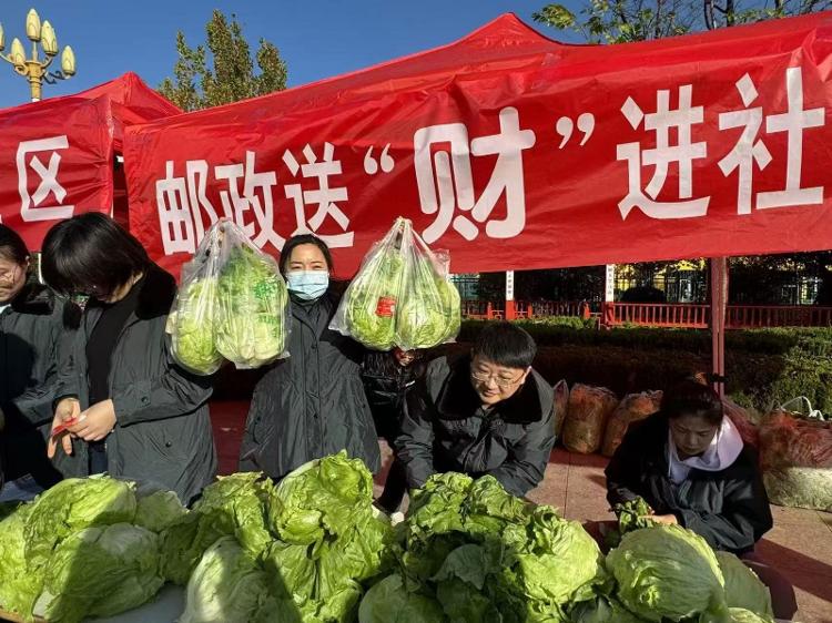 济南邮MK体育政系统全方位服务乡村振兴纪实_泉城新闻_大众网(图2)
