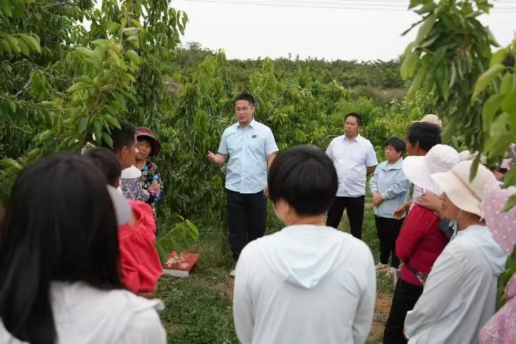 济南邮MK体育政系统全方位服务乡村振兴纪实_泉城新闻_大众网(图3)