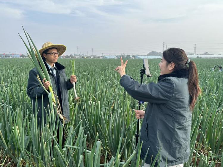 济南邮MK体育政系统全方位服务乡村振兴纪实_泉城新闻_大众网(图5)