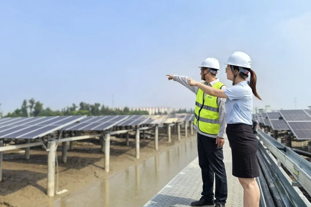从闽江三桥到八闽宏图看建设银行的“善建”足MK体育迹(图11)