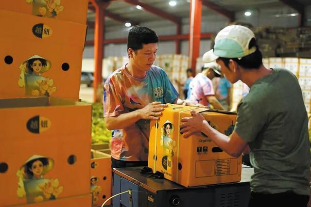 金融科技赋能“一带一MK体育路”：中国-东盟合作新路径(图2)